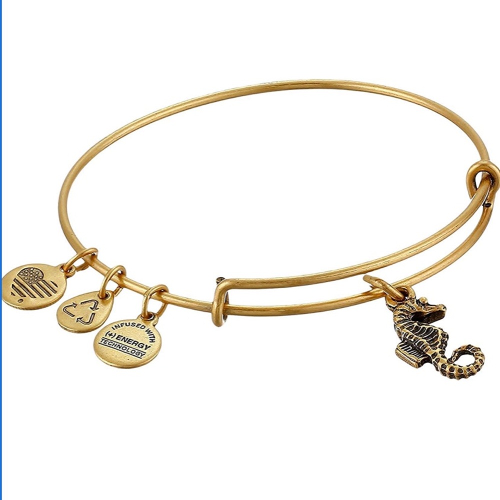 Alex and Ani Seahorse Bracelet